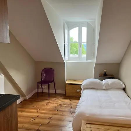 Small Nest - Castle View Pau
